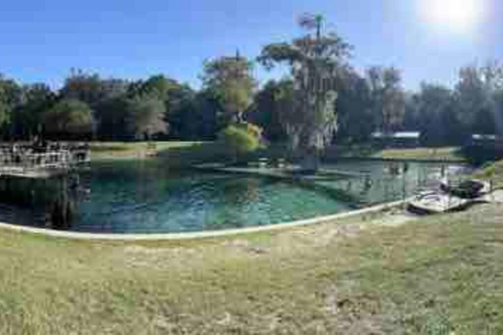 גיינסוויל The Botanical Retreat, King Comfort & Poolside Peace מראה חיצוני תמונה